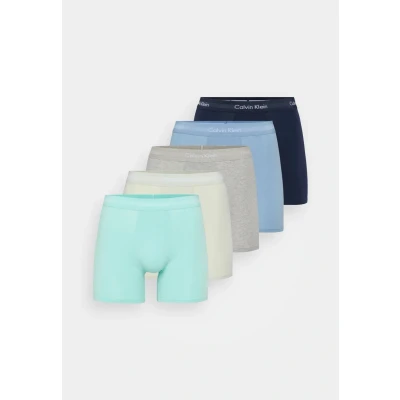 Abbildung von Calvin Klein Underwear Brief 5 PACK Panties, Herren, Größe: Large, Mint/light blue/grey