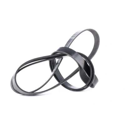 Abbildung von DAYCO 6PK2120 Keilrippenriemen 2120,0 6 MERCEDES BENZ: E Class Saloon, W124 190, OPEL: Vectra C Signum CC, Caravan