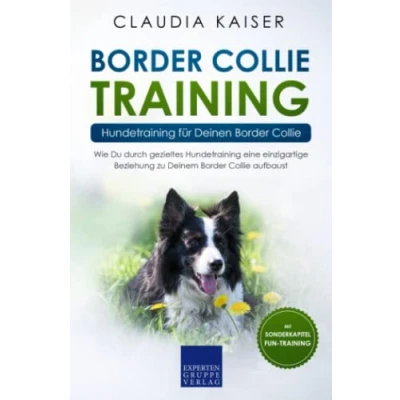 Abbildung von Border Collie Training Hundetraining für Deinen Collie: Wie Du durch gezieltes eine einzigartige Beziehung zu Deinem aufbaust