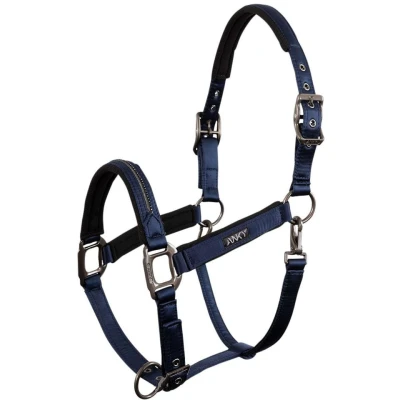 Abbildung von ANKY Halter Victory