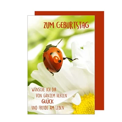 Abbildung von Edition Seidel Premium Geburtstagskarte mit Umschlag. Glückwunschkarte Grusskarte Billet Karte Geburtstag Happy Birthday Mann Frau Kind Herz Glück Marienkäfer (G3054 SW023)