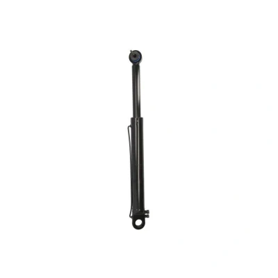 Abbildung von FEBI BILSTEIN 106117 Kippzylinder, Fahrerhaus