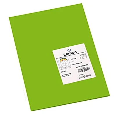 Abbildung von Canson 200040172 Iris Vivaldi glattes, farbiges Papier, A4, grün 29