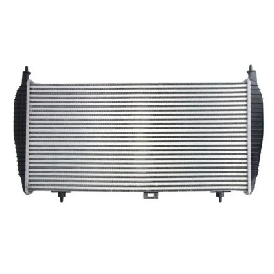 Abbildung von Ladeluftkühler THERMOTEC DAC010TT