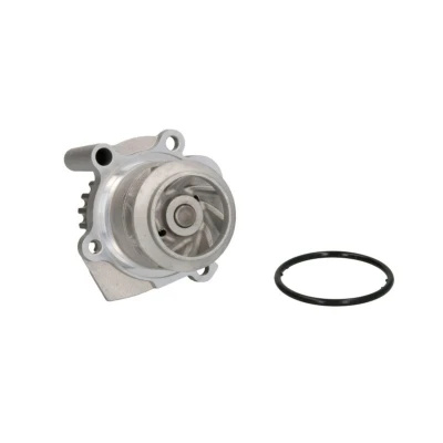 Abbildung von THERMOTEC D1W037TT Wasserpumpe 19 mit Dichtung mechanisch VOLKSWAGEN: Transporter 5 Bus, Golf 5, SKODA: Fabia 2, Octavia 2 Combi