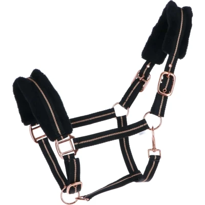 Abbildung von HB Halfter Europe Rose Schwarz Pony