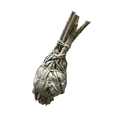 Abbildung von Sage Smudge Stick 10,2 cm (Fackel, weißer Salbei, cm)