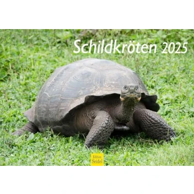 Abbildung von Edition Seidel Premium Kalender Schildkröten 2025 Format DIN A3 Wandkalender Tierkalender Schildkröte Reptilien Wildtiere