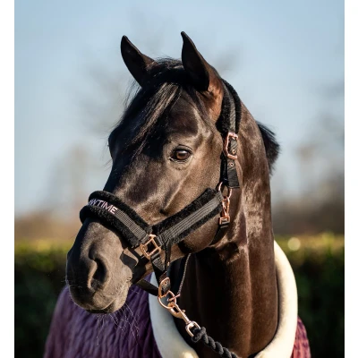 Abbildung von HB Halfter Showtime Teddy Schwarz/Rosa Pony