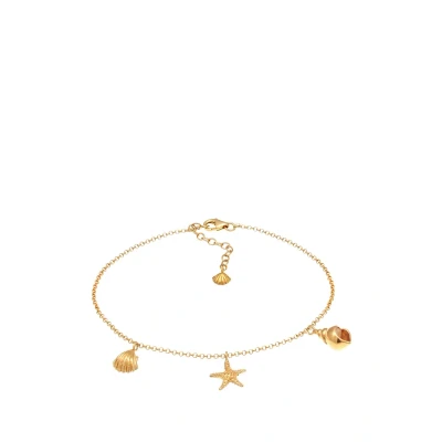 Abbildung von Elli Anklet Shell Starfish Armband goldcoloured, Damen, Größe: 22, Gold coloured