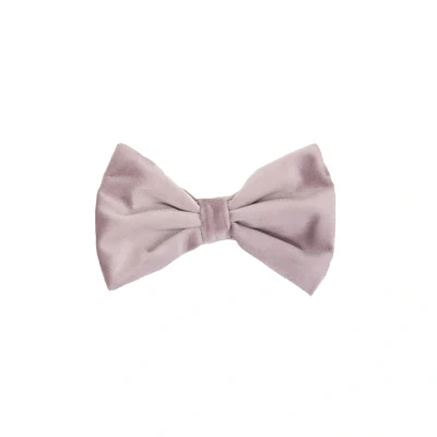 Abbildung von Kentucky Bow Tie Velvet Soft Rose S