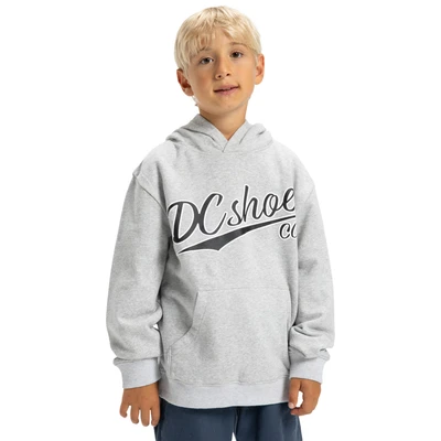 Abbildung von DC Shoes Substitute Kapuzenpullover für Kinder, Größe: 176, Sfrh light heather grey