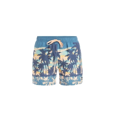 Abbildung von Quiksilver Everyday Straight Badeshorts, Herren, Größe: Small, Blq