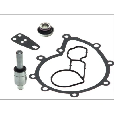 Abbildung von DT Spare Parts 1.31121 Reparatursatz, Wasserpumpe