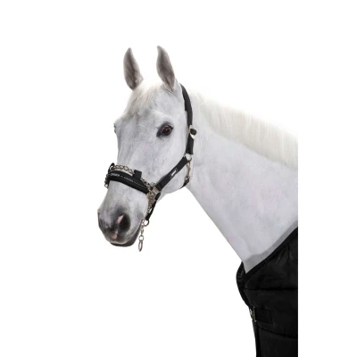 Abbildung von Eskadron Halfter Control Pin Buckle Schwarz XWarmblut