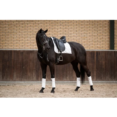 Abbildung von HB Showtime Schabracke Crown Dressur Weiß Warmblut