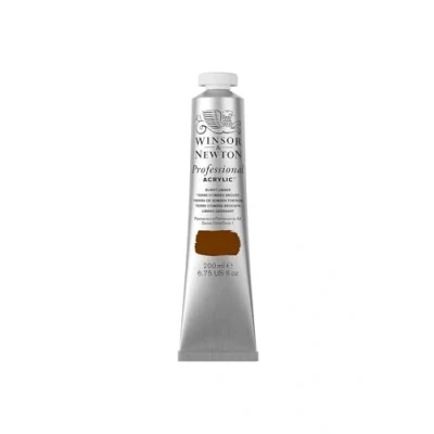Abbildung von Winsor &amp; Newton 2337076 Professional Acrylfarbe in Künstlerqualität, hohe Farbbrillanz Deckkraft, Archivqualität, 200ml Tube Umbra Gebrannt