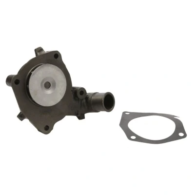 Abbildung von THERMOTEC D1G022TT Wasserpumpe mit Dichtung mechanisch FORD: Escort 5, FIESTA 3