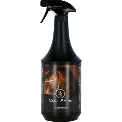 Abbildung von BR Glanzspray 1000 ml 1 l Naturel