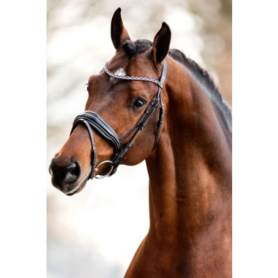 Abbildung von HB Showtime Bridle Great Love