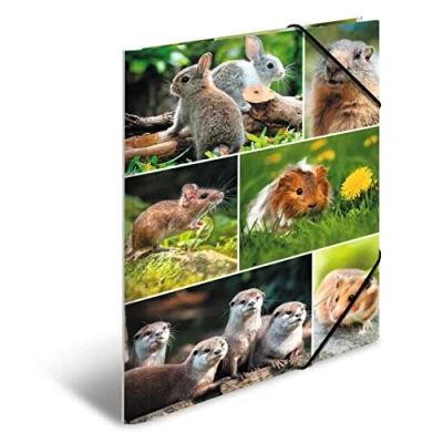 Abbildung von HERMA Sammelmappen A4 Nagetiere Set, 3 Stück, Kinder Eckspanner Mappen aus Pappe mit Tier Motiv, Gummizug, Innenklappen und Innendruck für Jungen Mädchen