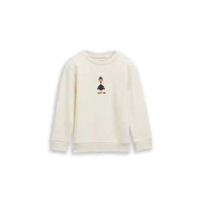 Abbildung von TOM TAILOR Sweater, mit Dino Print