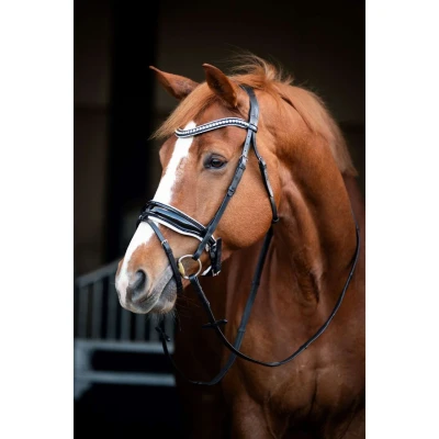 Abbildung von HB Showtime Bridle Snowflake