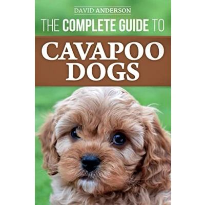 Abbildung von The Complete Guide to Cavapoo Dogs: Everything you need know successfully raise and train your new puppy