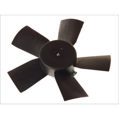 Abbildung von Lüfter, Motorkühlung THERMOTEC D8X003TT