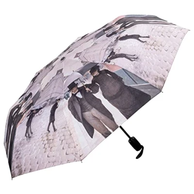 Abbildung von VON LILIENFELD Regenschirm Taschenschirm Gustave Caillebotte: Paris im Regen Windfest Auf Zu Automatik Stabil Leicht Kompakt Kunst