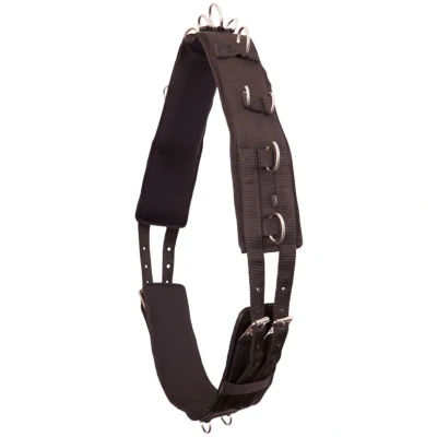 Abbildung von Premiere Longiergurt mit Neoprenkissen Schwarz Pony