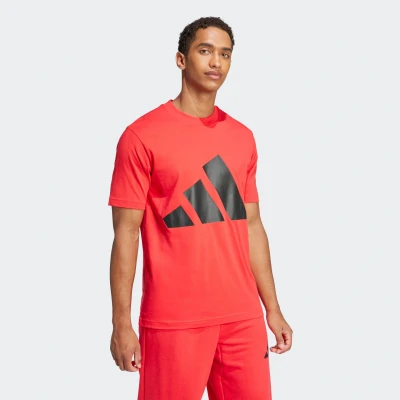 Abbildung von adidas Herren Essentials Big Logo Single Jersey Tee, Pure Ruby/Black, S