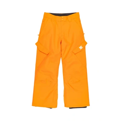 Abbildung von DC Shoes BANSHEETÉCNICO Schneehose für Kinder, Größe: 164, Nls oriole