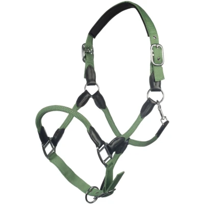 Abbildung von HKM FW&#039;24 Halter Carlotta