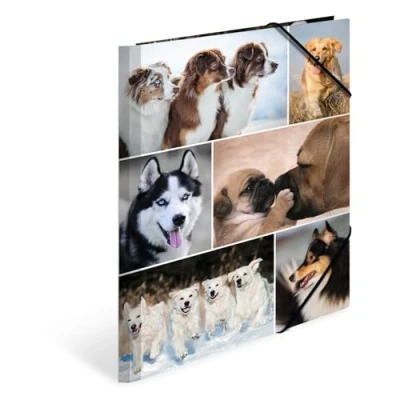 Abbildung von HERMA Sammelmappen A4 Hunde Set, 3 Stück, Kinder Eckspanner Mappen aus Pappe mit Tier Motiv, Gummizug, Innenklappen und Innendruck für Jungen Mädchen