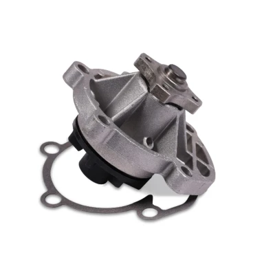 Abbildung von HEPU P602 Wasserpumpe mit Dichtung mechanisch Kunststoff