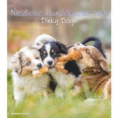 Abbildung von Niedliche Hundekinder 2025 Wand Kalender Tier 30x34: Dinky Dogs