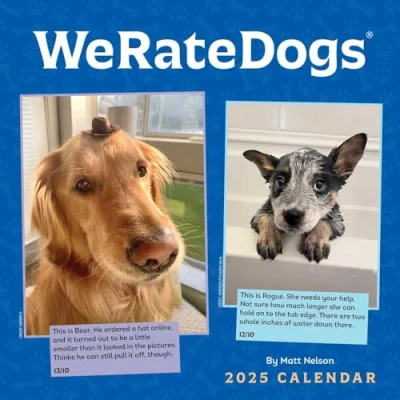 Abbildung von WeRateDogs 2025 Wall Calendar