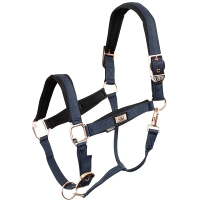 Abbildung von BR Halfter Rosé Gold Blueberry Pony