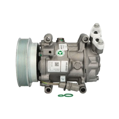Abbildung von ELSTOCK 51 0226 Kompressor PAG 46 R134a mit Dichtungen RENAULT: Kangoo II / Grand Kangoo, Clio 3, III Grandtour, NISSAN: Note I