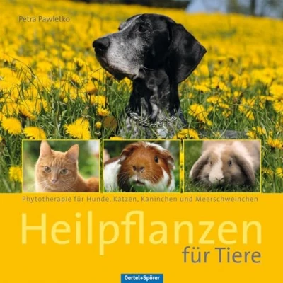 Abbildung von Heilpflanzen für Tiere: Phytotherapie Hunde, Katzen, Kaninchen und Meerschweinchen