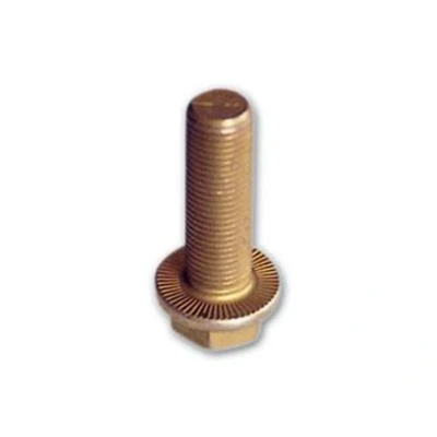 Abbildung von Schraube AUGER 51519