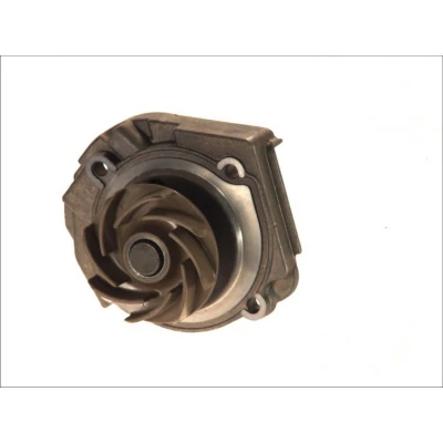 Abbildung von Saleri SIL PA983A Wasserpumpe 24 mechanisch 59,7 FIAT: Doblo I Cargo, Panda Hatchback