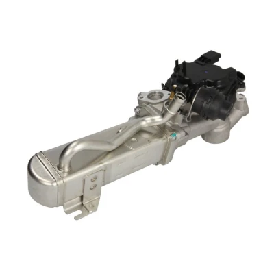 Abbildung von NRF 48205 AGR Modul mit Kühler