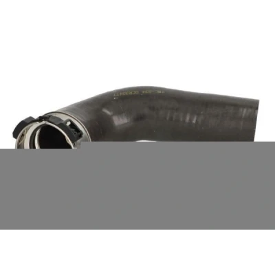 Abbildung von THERMOTEC DCR304TT Ladeluftschlauch RENAULT: MEGANE 3, 3 Grandtour, SCENIC