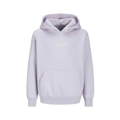 Abbildung von Jack &amp; Jones Junior Kapuzensweatshirt »JORVESTERBRO SWEAT HOOD NOOS JNR«