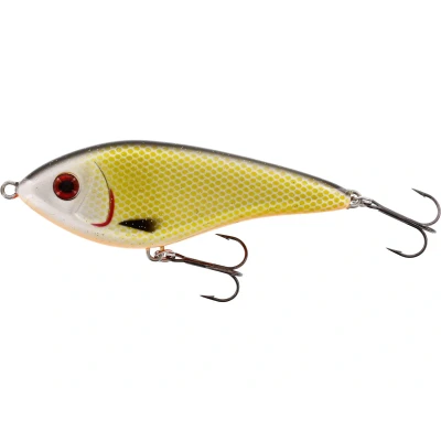 Abbildung von Westin Swim Glidebait 12cm Sinking Official Roach Wobbler