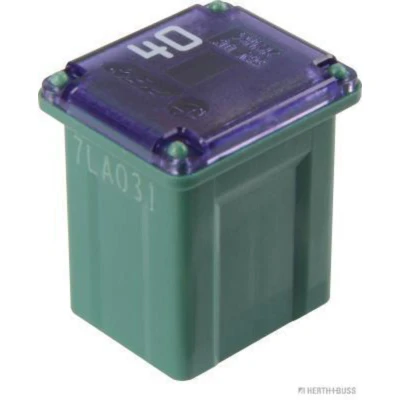 Abbildung von HERTH+BUSS ELPARTS 50295333 Sicherung 40 grün 58