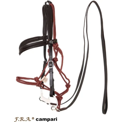 Abbildung von FRA Campari Bridle