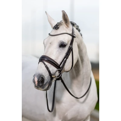 Abbildung von LeMieux Kudos Trense Classic Dressage Braun Warmblut